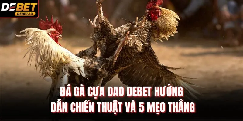 Đá Gà Cựa Dao