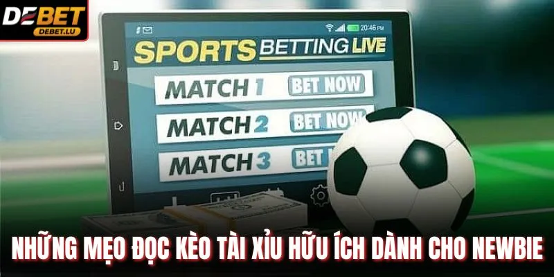 Những mẹo đọc kèo tài xỉu hữu ích dành cho newbie