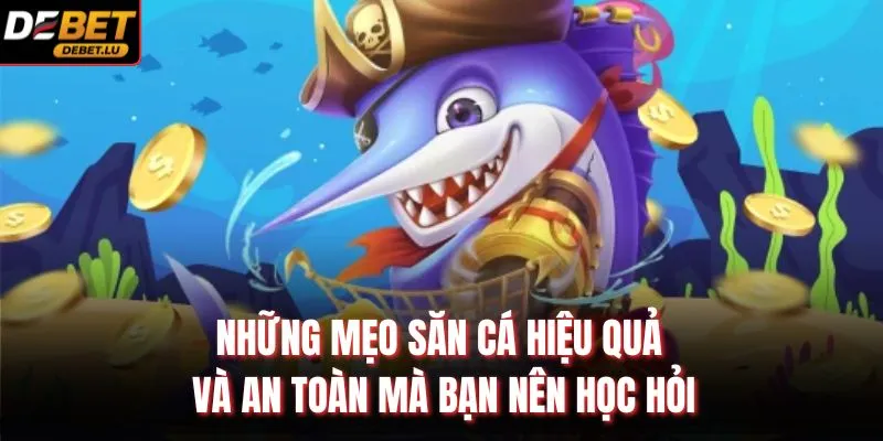 Những mẹo săn cá hiệu quả và an toàn mà bạn nên học hỏi