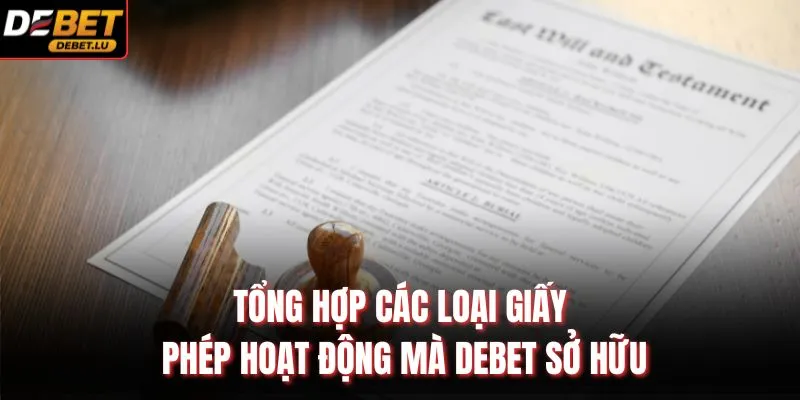 Tổng hợp các loại giấy phép hoạt động mà Debet sở hữu